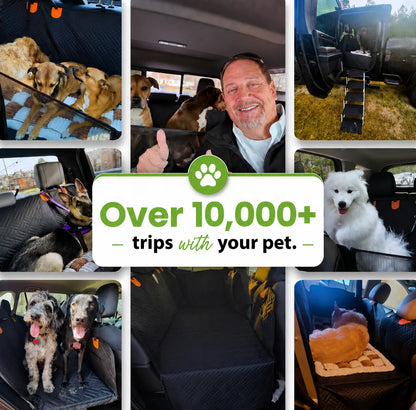DreoRoam 2.0™ - Hard Bottom Dog Car Seat Protector