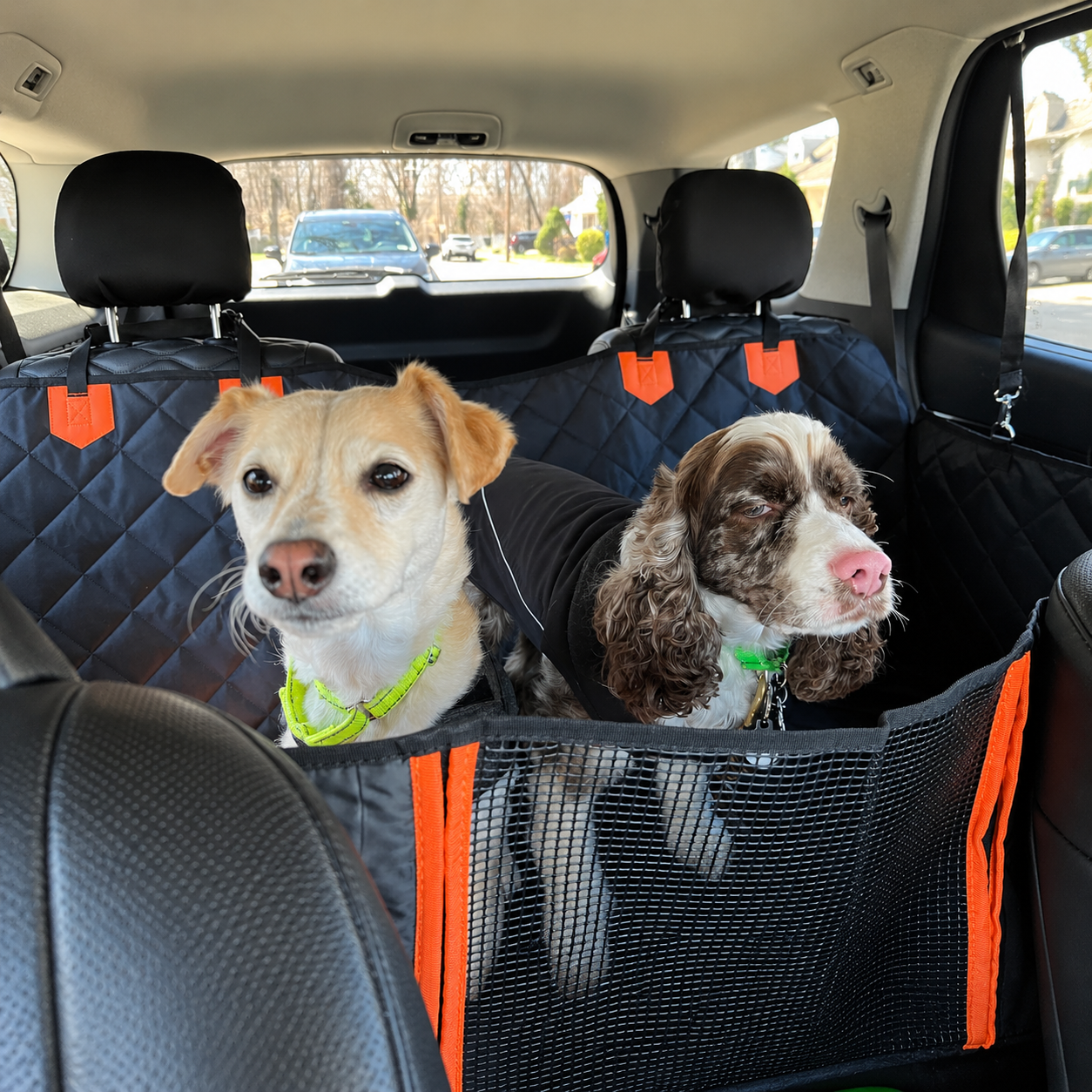 DreoRoam 2.0™ - Hard Bottom Dog Car Seat Protector