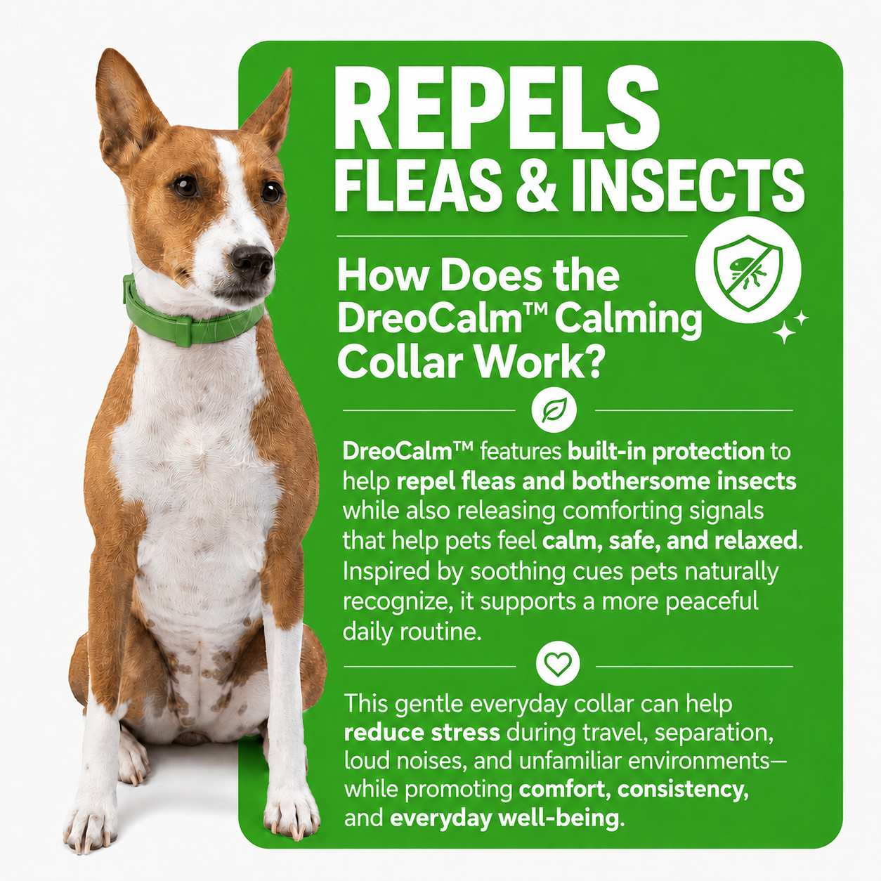 DreoCalm™ Natural Pet Protection Tag – Flea, Tick & Bug Defense