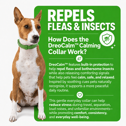 DreoCalm™ Natural Pet Protection Tag – Flea, Tick & Bug Defense
