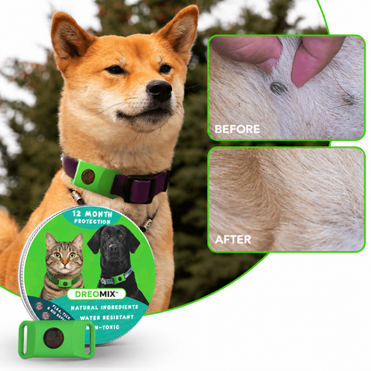 DreoCalm™ Natural Pet Protection Tag – Flea, Tick & Bug Defense