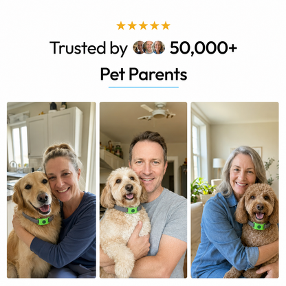 DreoCalm™ Natural Pet Protection Tag – Flea, Tick & Bug Defense