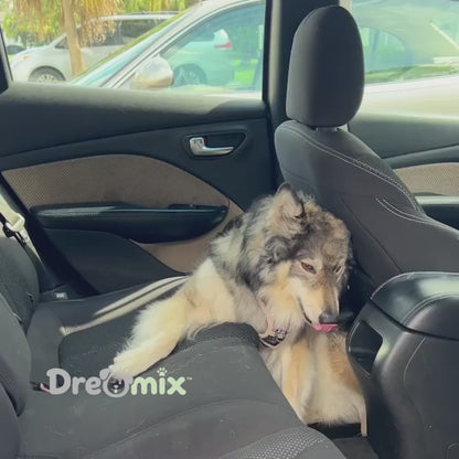 DreoRoam 2.0™ - Hard Bottom Dog Car Seat Protector